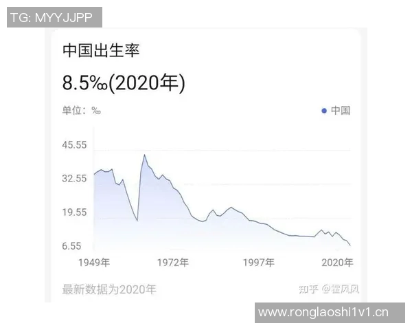 深圳排球队实力飙升再创新高引发全国关注与期待